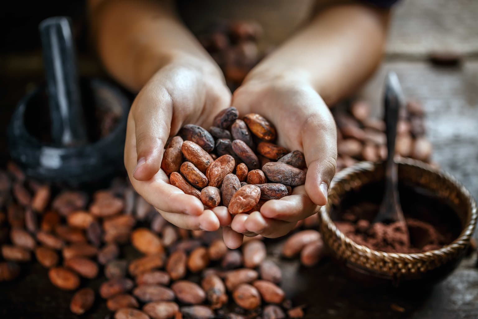 Licensed Adobe cacao cacao ceremony